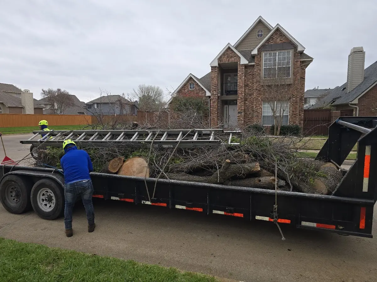 Expert Lot Clearing with proper safety equipment in Orem